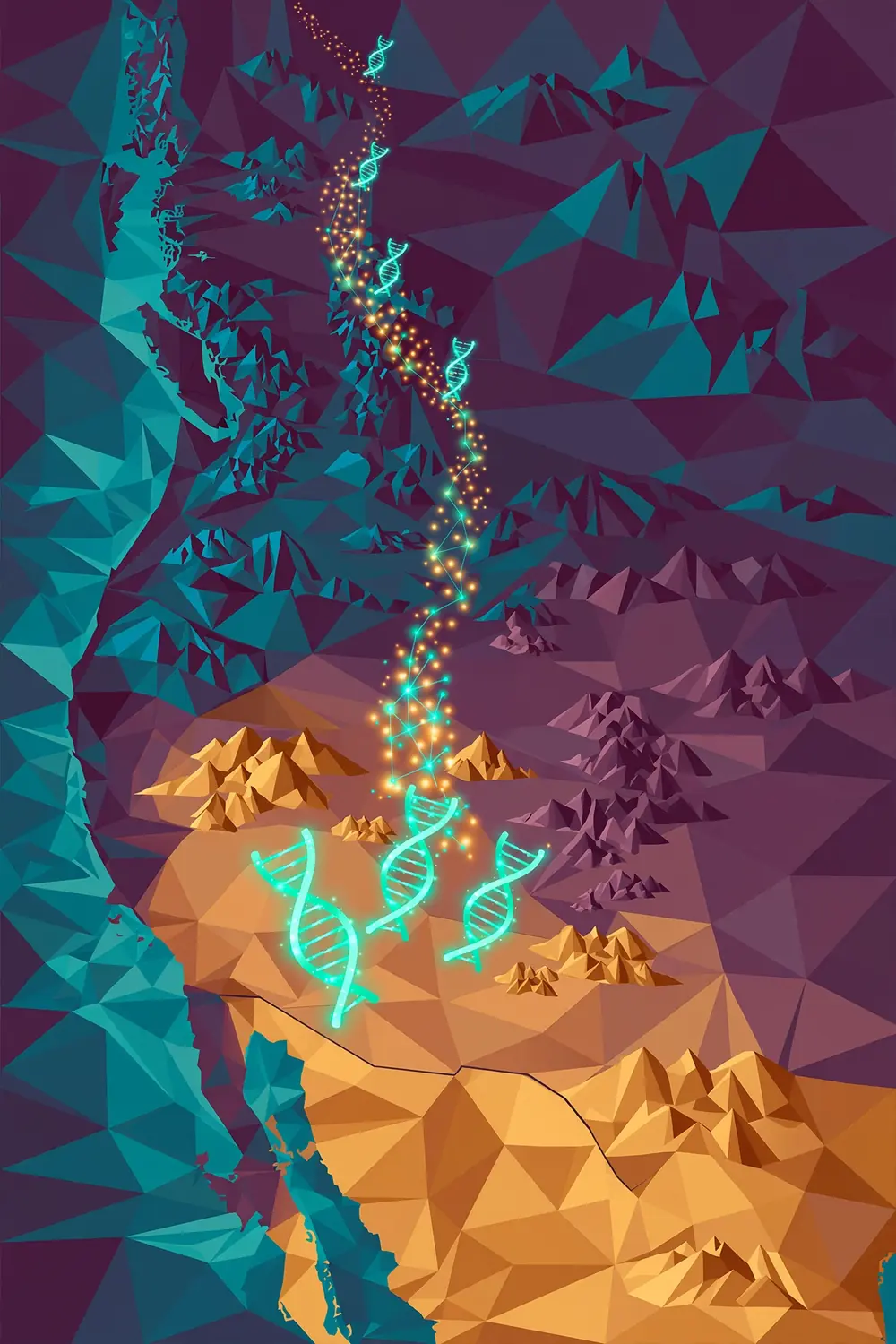 Illustration of a stylized map of western North America showing spotted bat range from Mexico to Canada with DNA markers