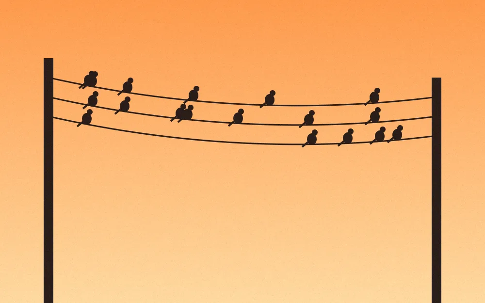 Silhouettes of small birds perched on three sagging electric wires between two poles against an orange sunset sky