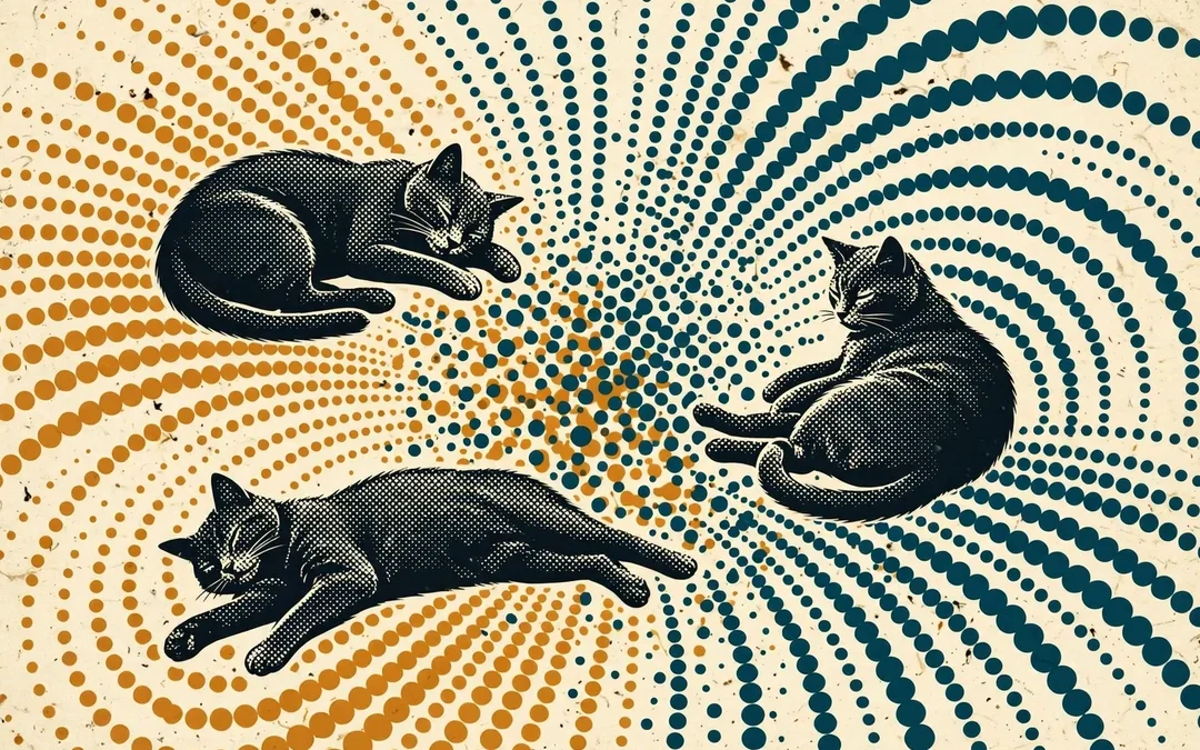 Cats and Happiness: What a 93-Nation Study Found