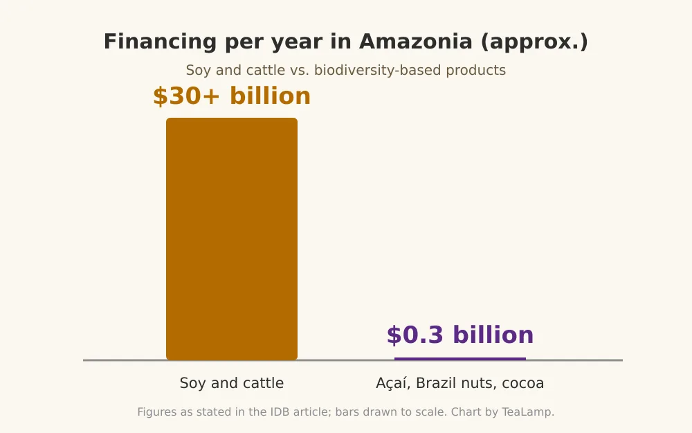 Bar chart: soy and cattle receive more than 30 billion US dollars a year in financing, while acai, Brazil nuts and cocoa receive about 0.3 billion