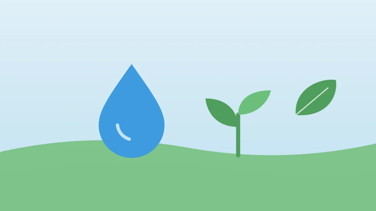 Illustration of a large water drop beside a green sprout and a leaf