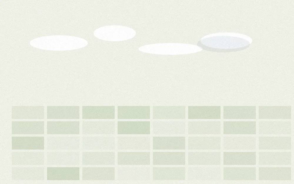 Pale green rice-paddy grid under a wide empty sky with a few small white clouds