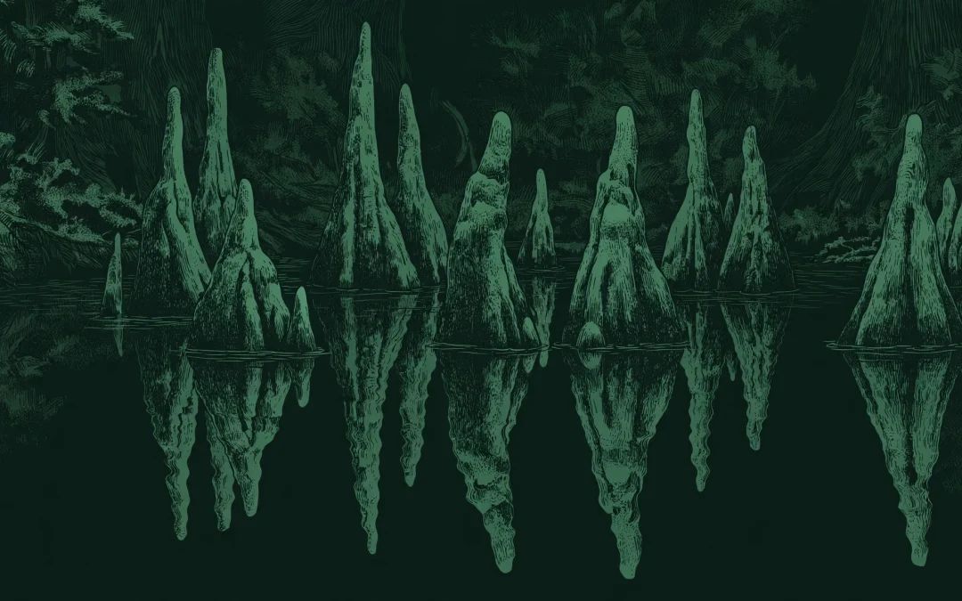 The Forested Floodplains of Congaree National Park