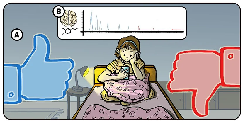 Cartoon of a girl in bed looking at her phone beside like and dislike icons, with a graph of dopamine spikes that shrink over time