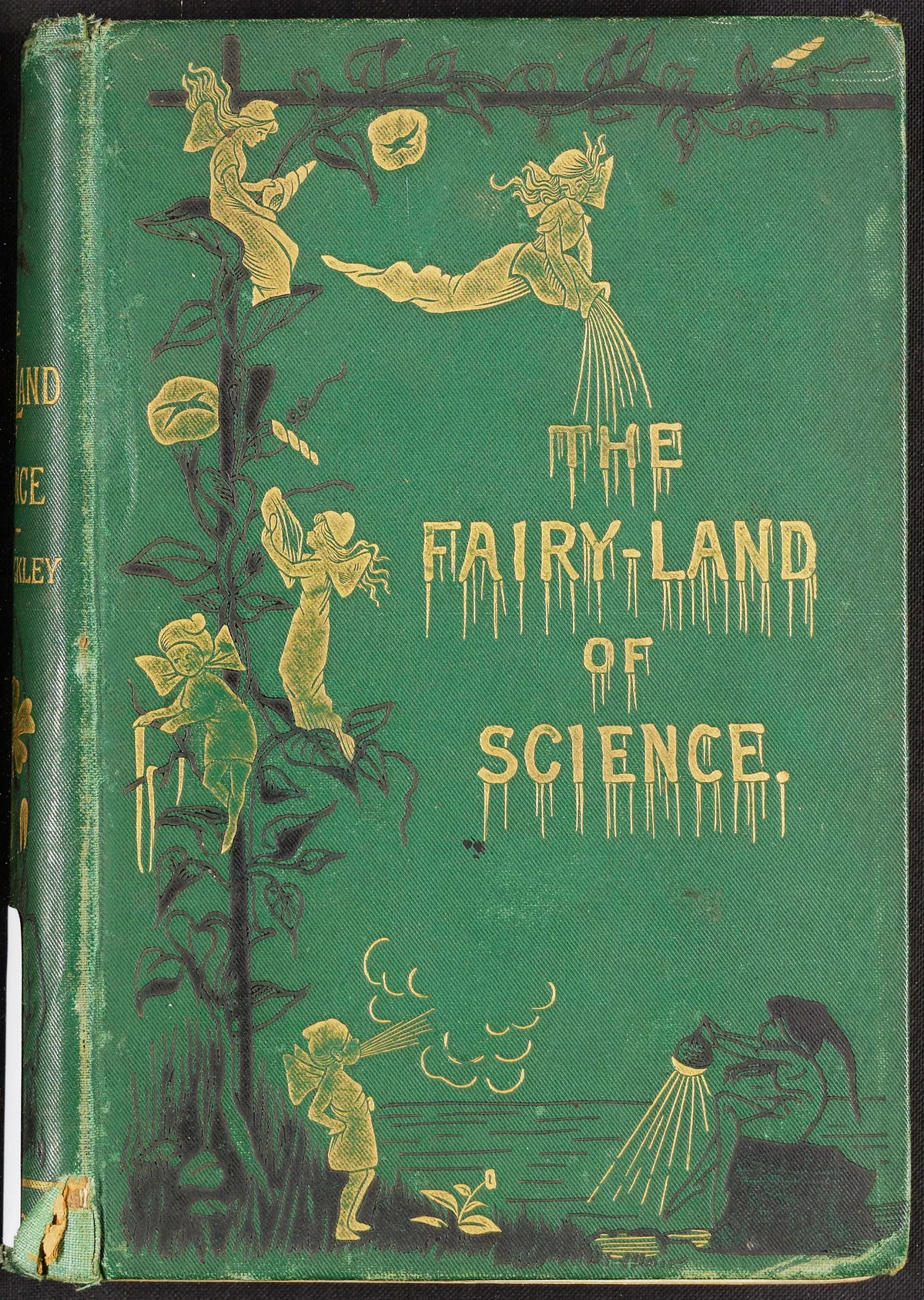Green and gold cloth cover of Arabella Buckley’s The Fairy-Land of Science, decorated with fairies and climbing flowers