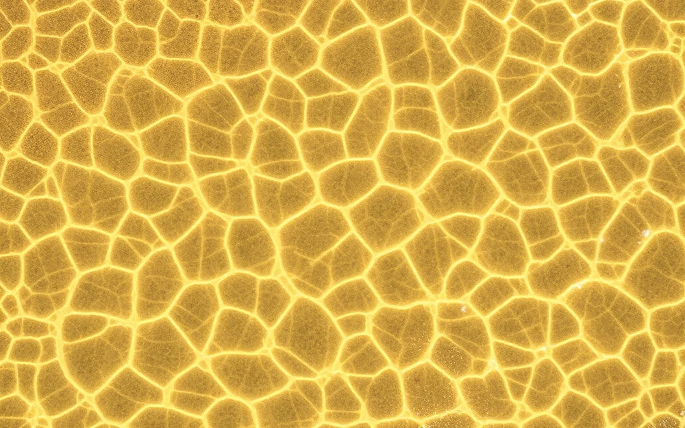 Sunlight patterns on shallow golden water over sand at low tide