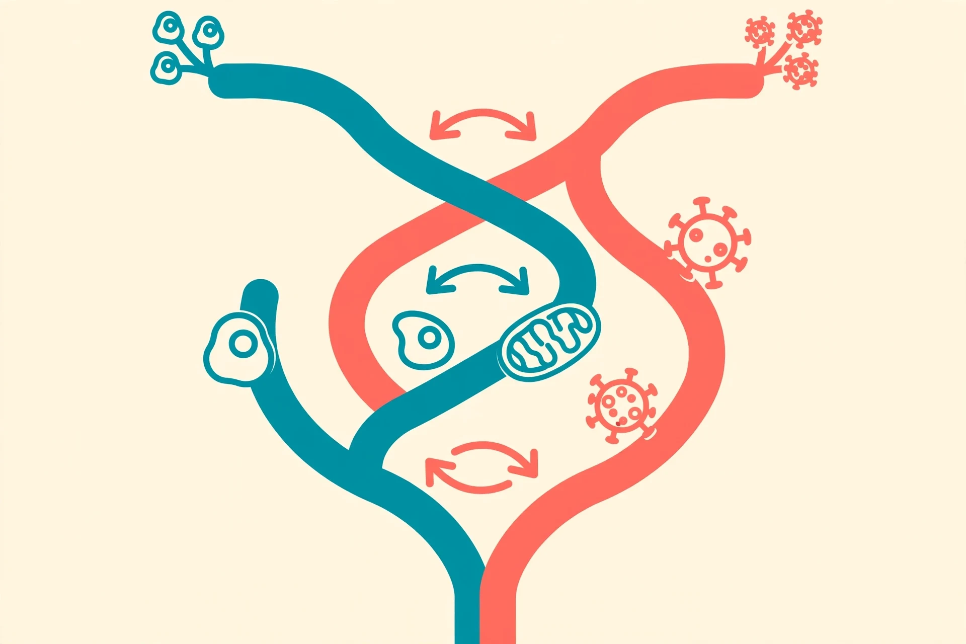 Flat vector infographic of an evolutionary tree where virus and cellular branches intertwine with two-way arrows